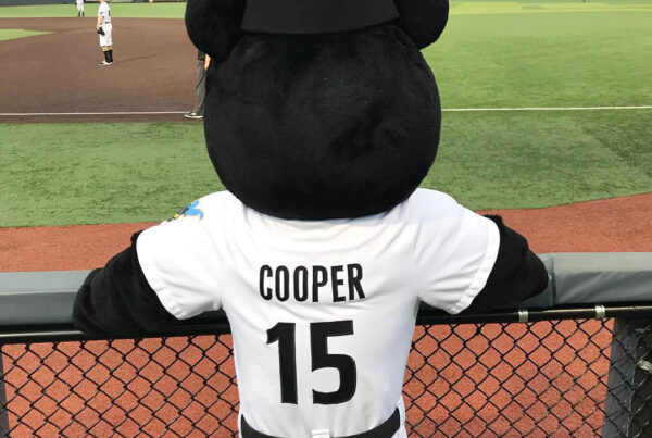 Black Bears mascot watches a game