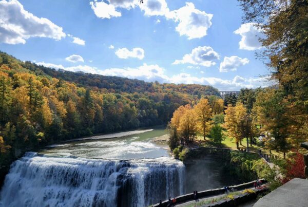 falls at Letchworth State Park on sunny fall day